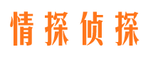 横峰侦探